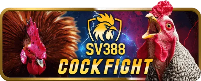 Nổ Hũ Video shbrt